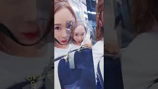 #부산 #댕댕이 #지하철#어디가