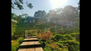 Short trip to #Bougainvillearesortmulshi| vlog 2| #Pet friendly resort|Resort near pune|Lake view