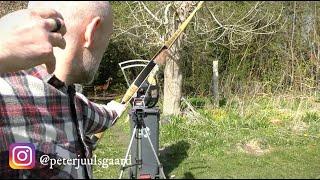 Cronographing the Bashkir Hornbow - Horse bow shooting - Archery test