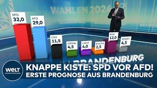 LANDTAGSWAHL IN BRANDENBURG - Erste Hochrechnung: SPD knapp vor AfD! BSW & CDU kämpfen um Platz 3