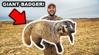 I TRAPPED a RARE BADGER at My FARM!!! (CATCH CLEAN COOK)