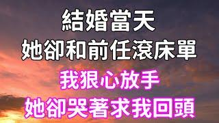 結婚當天，她卻和前任滾床單，我狠心放手，她卻哭著求我回頭 #故事 #一口氣看完