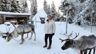 Lapland Experience 2023 (Ruka/ Kuusamo)