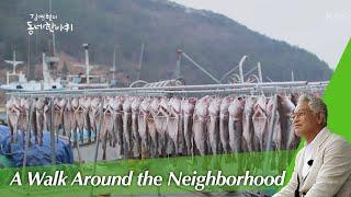 Geoje, Gyeongsangnam-do(A Walk Around the Neighborhood) I KBS WORLD TV 200127