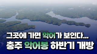 [자막뉴스] 그곳에 가면 악어가 보인다...충주 악어봉 하반기 개방