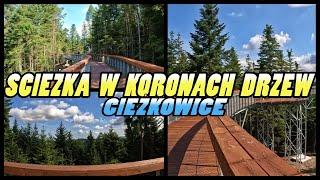 Ścieżka w Koronach Drzew - Ciężkowice || Treetop Walkway - Ciężkowice Poland (4k)