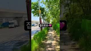 오늘은 반차 퇴근이다아 #브이로그 #일상 #중소기업 #중소기업브이로그 #직장인 #퇴근길 #더워