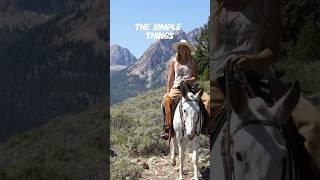 Beauty and simplicity  #simple #mules #mountains #shorts