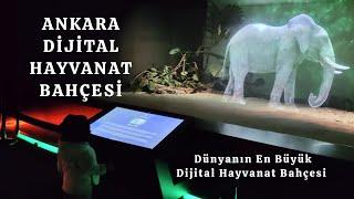 Ankara, Turkiye, Hologram Zoo