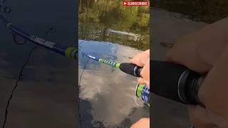 Cheap Fishing Combo Vs. BIG Snook! #fishing #fortmyers #snook #florida