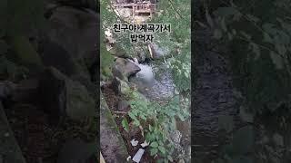 등대와설중사TV#팔공산#개울가  식당#오리구이#친구들과  힐링시간#shorts