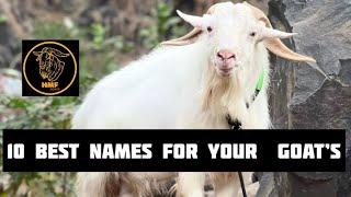 10 best names for your goats (@HMF_GOATS ) #viral #trending #trendingvideo #share