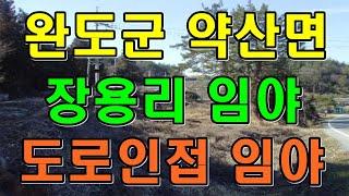 부동산경매 - 전남 완도군 약산면 장용리 임야