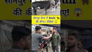 सोनपुर मेला में #bulls की कीमत सुनकर हैरान हो जायेंगे  || Sonpur Mela 2024 #bull #viralvideo #short