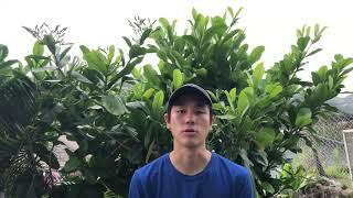 What the Paubox Kahikina Scholarship Means to Me | Nick Wong, 2019 Recipient