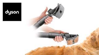 Mess-free vacuum-assisted dog grooming. See the Dyson Groom tool in use.