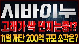 [시바이누] 추가 하락, 고래가 전량 던져서라고요!? 11월 재단 물량 200억규모 소각이 곧인데? '여기'까지 내려오면 3천만원치 매수할 예정, 대응은 반드시 '이렇게'