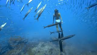 Freediver Life At Koh Tao on July