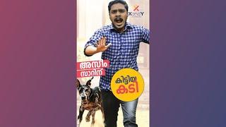 അസീം സാറിന് കിട്ടിയ കടി | Aseem Sir | Dog Bite | XandY Learning