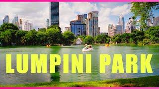 Lumpini Park A Free & Easy To Do Urban Safari | Bangkok, Thailand Travel