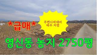 (매물번호 075 )*급매*문경시 영신동 농림지역 답9090㎡ ( 2750평) 평당19만#주변시세 대비 매우저렴한 급매물