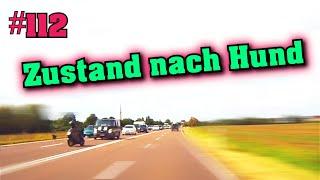 Fahrradfahrer angefahren, Hundestau und passt schon  | deutsche Fahrer | Dashcam Stories #112