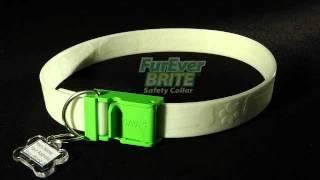 Worlds Most Powerful Glow in the Dark Dog Collar