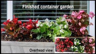 Container Gardening Made Easy...a 20 minute project