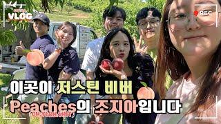 [미국vlog] 복숭아가 유명한 미국 조지아주에서 복숭아 따기 체험 (w Jaemor Farms) |브이로그|미국|미국브이로그|미국일상|애틀랜타|조지아주