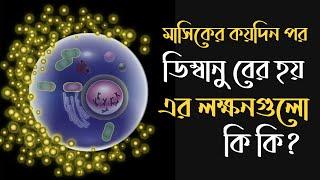 ডিম্বাণু বের হওয়ার লক্ষণগুলো জেনে নিন । Ovulation Symptoms in Bangla । Ovulation Symptoms