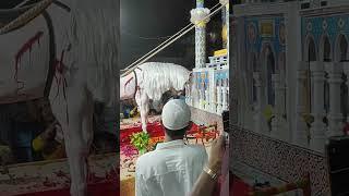 Ali Fatima ki nigahon ka Tara Muharram tajiya