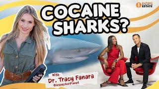 COCAINE SHARKS?