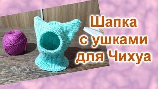 Шапка с ушками для собаки или кошки (115)/Вяжем спицами/МК