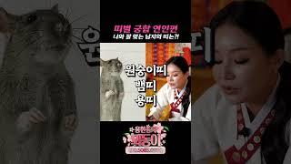 띠별 궁합 연인편 / 나와 잘 맞는 남자 띠 알아보기 #shotrs