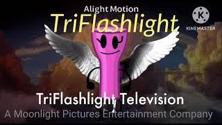 Moonlight Pictures Television (1993-2002-Present)