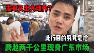 志哥又出大動作？跨越兩千公里現身廣東市場，此行目的究竟是啥？#jade #玉 #赌石 #原石 #缅甸翡翠 #珠寶