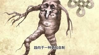 植物、致幻、萨满教