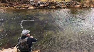 Fly Fishing For MONSTER Trout In North Georgia Appalachian Mountains