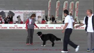 World Championship Obedience 2015 Fedorova Wander part 1