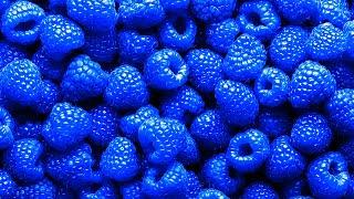 What Actually IS Blue Raspberry?