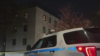 Mother jumps from window to escape son in NYC: police