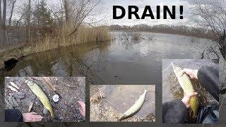 Fishing a DRAINAGE DITCH - Quest for TROPHY Chain Pickerel Continues!