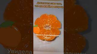 ПРОВЕРКА Доказательства Мы Живём в Матрице