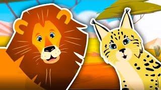 Learn the Sounds of Wild Cats! | Animal Sound Songs for Kids | Kids Learning Videos