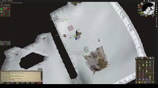 OSRS Solo Kree Arra 8 Kill Trip (Unique Drop)