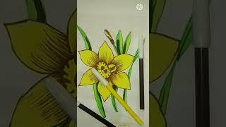#Anurag Art Academy #essy drawing # flower drawing