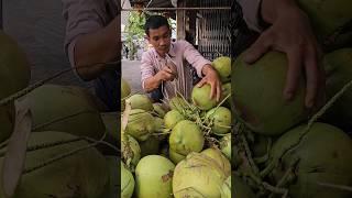 Amazing Cambodian Cocount Cutting Skills - Fruit Cutting Skills