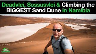 How to do Deadvlei, Sossusvlei and Climb Big Daddy the Highest Dune in Namibia