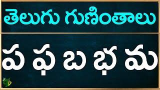 Pa Pha Ba Bha Ma guninthalu telugu | పఫబభమ గుణింతాలు |How to write Telugu guninthalu@TeluguVanam