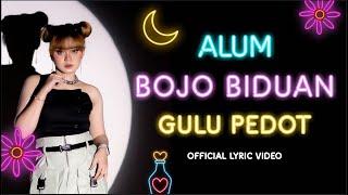 DJ ESA RISTY ALUM X BOJO BIDUAN X GULU PEDOT (Official Lyric Video)